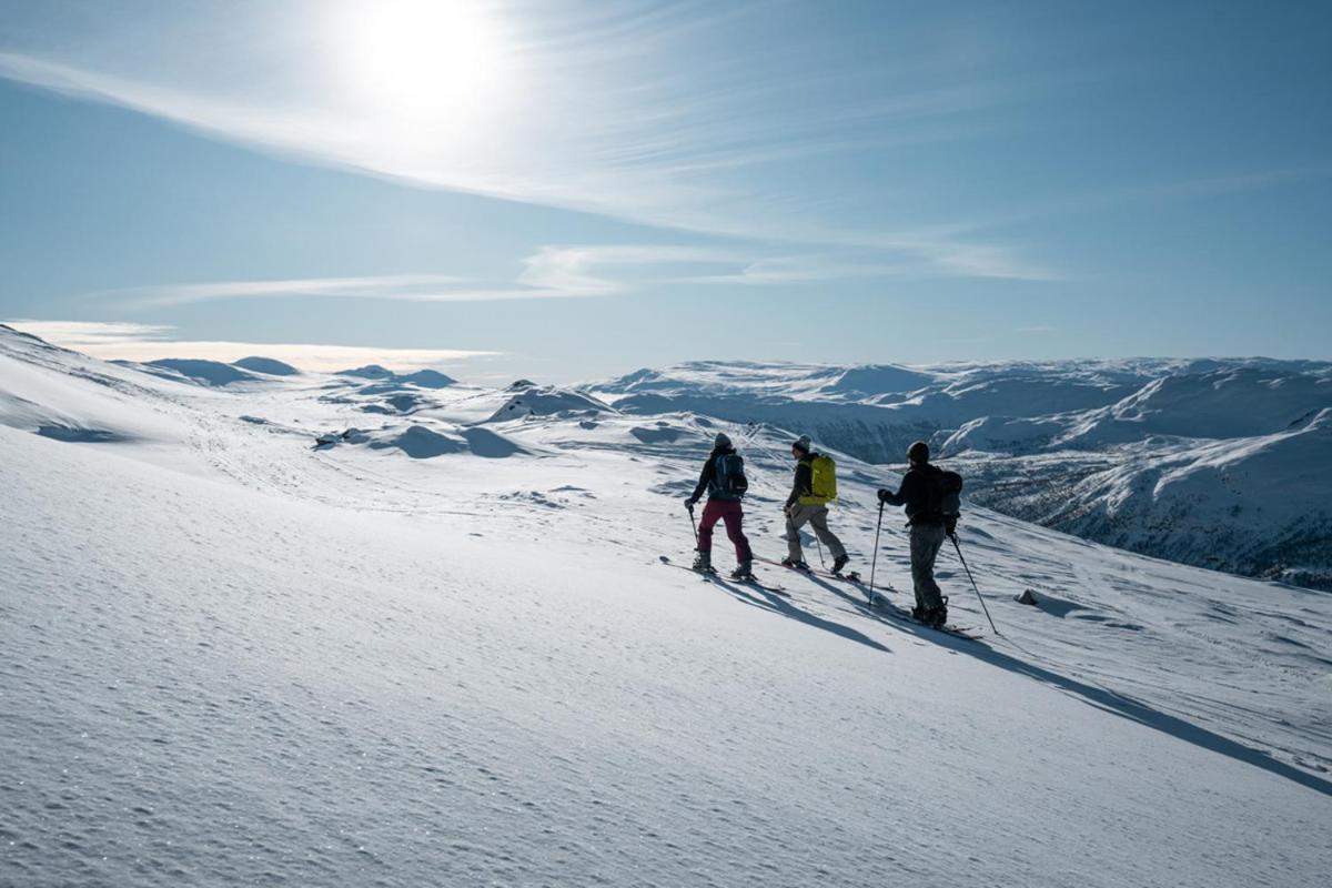 Harahorn Fjellgard Hotel Grøndalen Kültér fotó